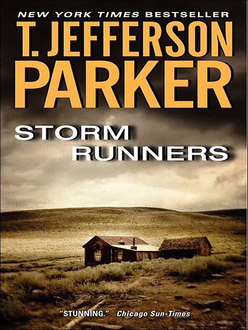 Cover image for Storm Runners